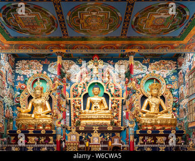El Monasterio Namdroling Nyingmapa es el mayor centro de enseñanza del linaje Nyingma del budismo tibetano en el mundo.