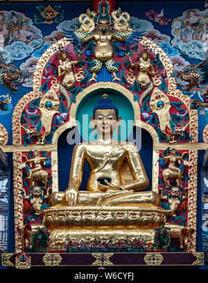 El Monasterio Namdroling Nyingmapa es el mayor centro de enseñanza del linaje Nyingma del budismo tibetano en el mundo.