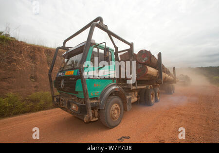 Camiones usados a gran escala de extracción de madera con troncos de madera tomadas desde la madera patio situado en el interior del Parque Nacional Lopé. Envío ulterior via mar tiene lugar en Libreville, Gabón. 2009