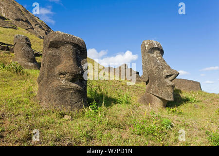 Gigantes de piedra monolítica estatuas moai en Rano Raraku, Rapa Nui, Isla de Pascua, Chile, 2008