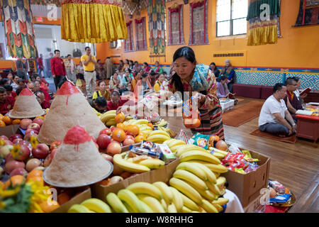 Una piadosa mujer budista ofrece comida al Buddah. En el sherpa Kyidug templo en Elmhurst, Queens, Nueva York. Foto de stock