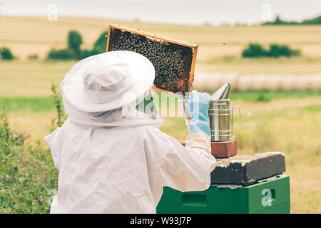 Un apicultor femenino está comprobando un panal de miel. Foto de stock