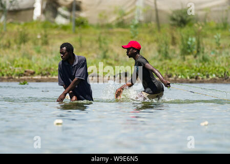 Dos pescadores kenianos caminar en el agua con net la pesca en el lago Naivasha, Kenia, África Oriental Foto de stock