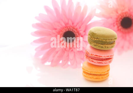 Manjar dulce francesa macarons variedad colorida y diferentes tipos dulces macarons sobre placa blanca con flor rosa borrosa aislado en blanco backgrou