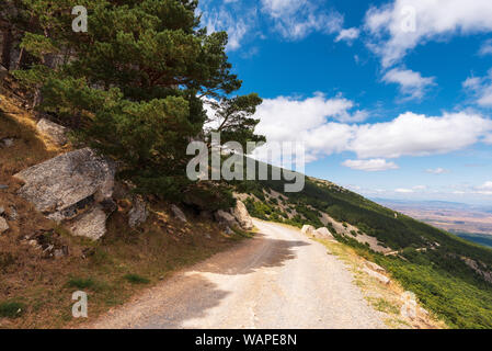 Camino rural en el Moncayo, región de Aragón, España. Entorno natural en temporada de verano . Foto de stock