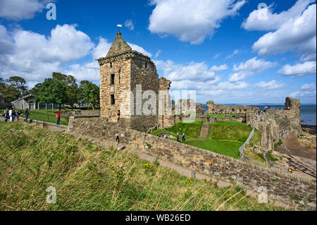 Las ruinas del castillo de San Andrés y los jardines, San Andrés, Scotland, Reino Unido Foto de stock
