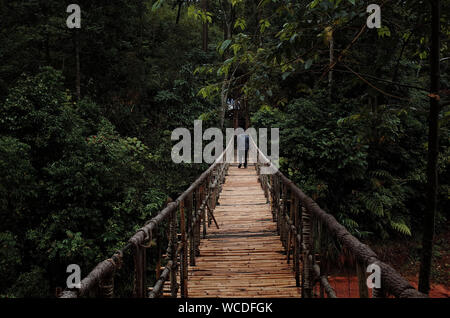 Persona caminando sobre la Pasarela en medio de los árboles en el bosque