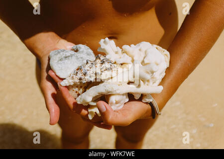 La mitad del torso de mujer sosteniendo conchas en la playa