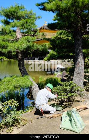 Japón / Kioto - El 5 de agosto de 2019: un jardinero corta arbustos en Kinkakuji o Pabellón Dorado, en el norte de Kyoto, Japón, visto a través de la charca grande. Foto de stock