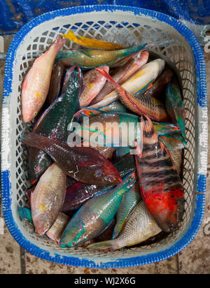 Cesta de surtido de pescado, pescado, mercado Paotere, Makassar en Sulawesi, Indonesia Foto de stock