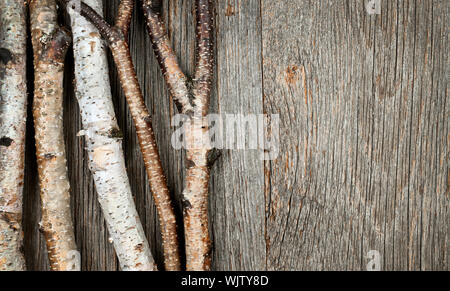 Los troncos y ramas de abedul en madera natural antecedentes Foto de stock