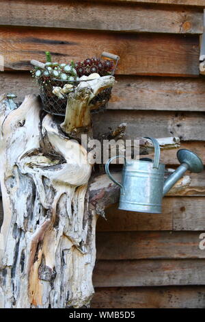 Regadera y Cesta de flores secas en el tronco del árbol en contra de tablones de madera