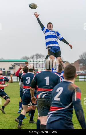 Los jugadores de rugby celebrada en lo alto que se extiende a lo largo de la pelota lanzada en la línea de salida