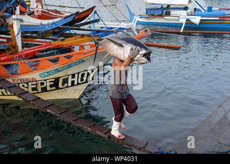 Un hombre llevando un gran Rabil en su hombro desde un barco en el Fishport en General Santos, Filipinas Foto de stock