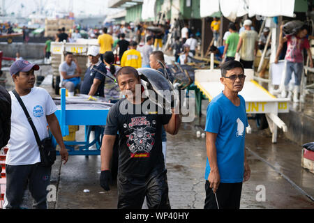 Un hombre llevando un gran Rabil sobre su hombro,dentro del Fishport en General Santos, Filipinas Foto de stock