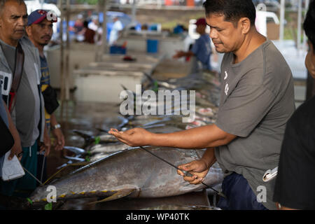 Rabil siendo evaluado por la calidad en la Fishport de General Santos, Filipinas Foto de stock