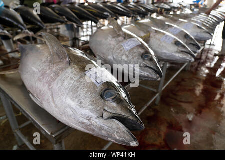 Rabil en el Commercial Fishport de General Santos, Filipinas. Foto de stock