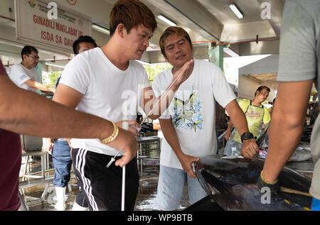 Rabil siendo evaluado por la calidad en la Fishport de General Santos, Filipinas Foto de stock