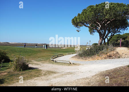 Pino piñonero Pinus pinea y parte de la Quinta do Lago Golf Parque Nacional Río Formosa Algarve Portugal