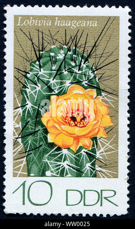 Sello de la Alemania oriental mostrando un cactus flower Foto de stock