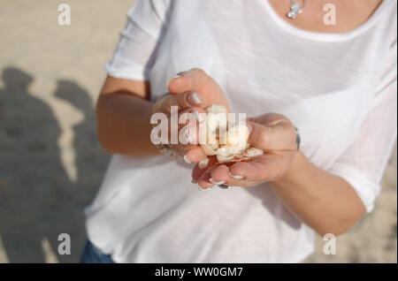 Mujer sosteniendo los seashells mientras está de pie en la playa