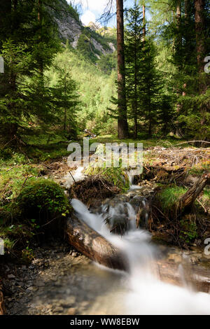 Lechtal Lechtaler Alpen, Alpes, arroyo, bosque, piscina de hidromasaje, región TirolWest, Tirol, Austria Foto de stock