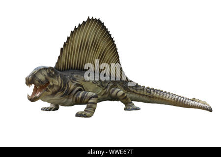 Retrato de dimetrodon aislado sobre fondo blanco.Triceratops es un dinosaurio carnívoro vivió en el período triásico Foto de stock