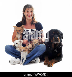Mujer joven con siete chihuahuas y una rottweiler delante de un fondo blanco