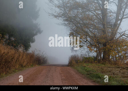 Camino de senderismo en el Harz neblinoso paisaje Foto de stock
