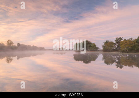 Hatchet estanque reflejando una hermosa rosa misty sunrise, Beaulieu, New Forest, Inglaterra, Reino Unido, Europa