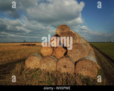 Fardos de paja apiladas Fotografía de stock - Alamy
