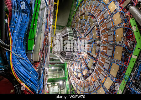 Detector CMS y cables en el túnel del LHC, CERN Foto de stock