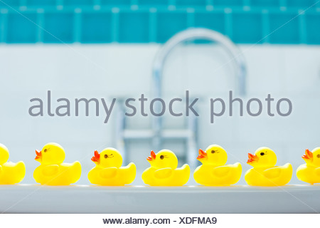 Fila de tres patos de goma para bathtime amarillo