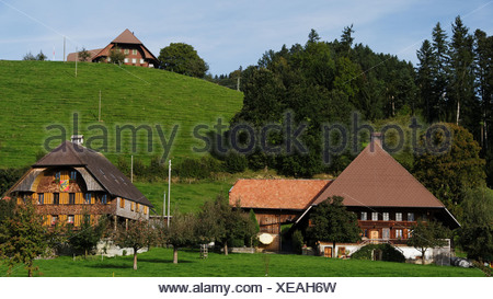 Apple tree, granja, granja de madera, la colina de montaña, techo, Emmental, casa, casa, chalet, corte, patio, Hofstatt, colina, cantón