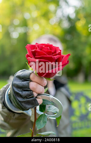 En plein air, de près, la main d'un homme dans les gants de cuir et des menottes, s'étend et donne une fleur rose rouge Banque D'Images