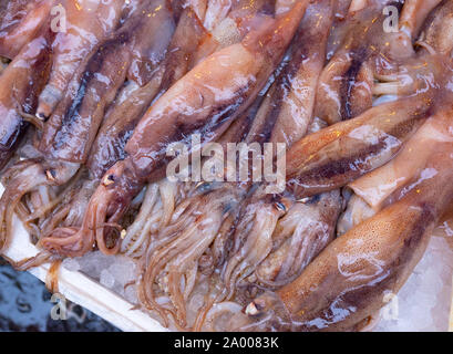 Les poissons exposés à Medterranean seamarket ouvert, Naples Banque D'Images