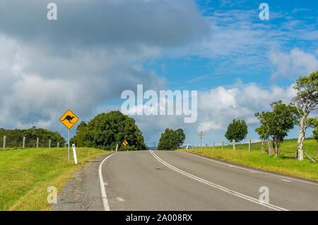 Australian Outback road avec kangaroo panneau routier. Route de campagne dans les régions rurales de l'Australie avec le kangourou sur l'avertissement de route road sign Banque D'Images