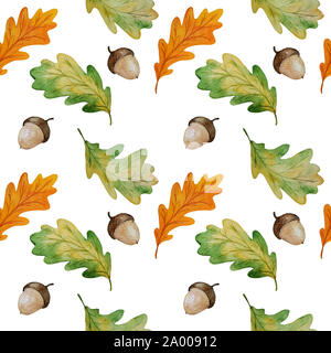 Motif transparent aquarelle feuilles de chêne et de glands isolé sur fond blanc, peinte à l'automne pour wpapping imprimer botanique, tissu, papier peint Banque D'Images