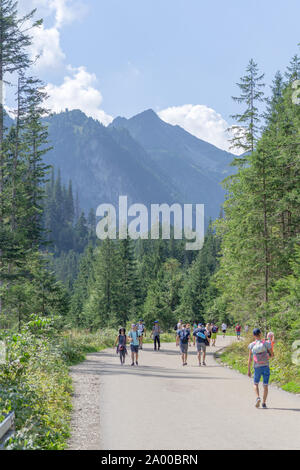 Groupe de touristes marcher sur la route de Morskie Oko, le lac Czarny Staw et Rysy dans les Hautes Tatras : Zakopane, Pologne - 01 septembre, 2019. Banque D'Images