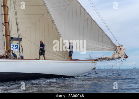 Imperia, Italie - 7 septembre 2019 : les membres d'équipage sur voilier Tuiga, vaisseau amiral du Yacht Club de Monaco, au cours de compétition au Golfe de La Spezia. Établir Banque D'Images