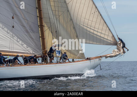 Imperia, Italie - 7 septembre 2019 : les membres d'équipage sur voilier Tuiga, vaisseau amiral du Yacht Club de Monaco, au cours de compétition au Golfe de La Spezia. Établir Banque D'Images