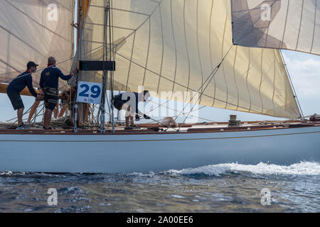 Imperia, Italie - 7 septembre 2019 : les membres d'équipage sur voilier Tuiga, vaisseau amiral du Yacht Club de Monaco, au cours de compétition au Golfe de La Spezia. Établir Banque D'Images