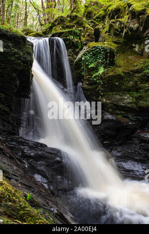 Cordorcan cascades graver dans le bois de la réserve crie, Newton Stewart, Dumfries et Galloway, Écosse Banque D'Images