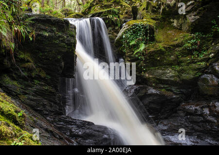 Cordorcan cascades graver dans le bois de la réserve crie, Newton Stewart, Dumfries et Galloway, Écosse Banque D'Images