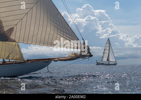 Imperia, Italie - 7 septembre 2019 : les membres d'équipage sur voilier Tuiga, vaisseau amiral du Yacht Club de Monaco, au cours de compétition au Golfe de La Spezia. Établir Banque D'Images