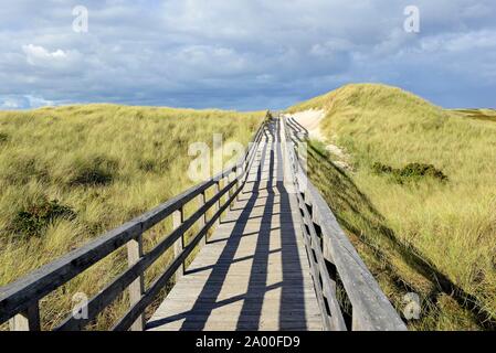 La promenade mène à travers les dunes de la plage près de Kampen, Sylt, îles frisonnes du Nord, mer du Nord, Frise du Nord, Schleswig-Holstein, Allemagne Banque D'Images