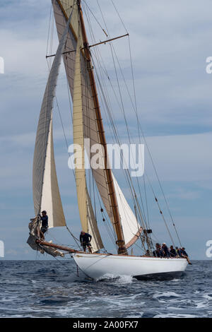 Imperia, Italie - 7 septembre 2019 : Le voilier Tuiga, vaisseau amiral du Yacht Club de Monaco, au cours de compétition au Golfe de La Spezia. Créé en 1986, le Banque D'Images