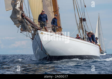 Imperia, Italie - 7 septembre 2019 : les membres d'équipage sur voilier Tuiga, vaisseau amiral du Yacht Club de Monaco, au cours de compétition au Golfe de La Spezia. Établir Banque D'Images