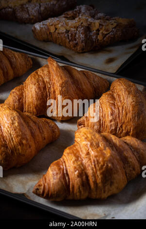 Le bac de golden brown croissant Banque D'Images