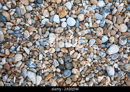 Sur la plage de galets galets à Dungeness, dans le Kent, UK Banque D'Images